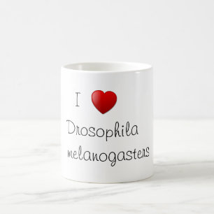 Drosophila Coffee Mug