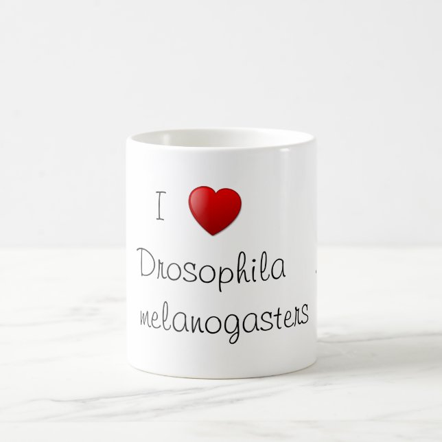 Drosophila Coffee Mug (Center)