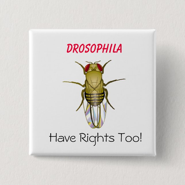 DROSOPHILA, Drosophila , Have Righ... - Customised 15 Cm Square Badge (Front)