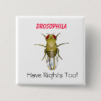 DROSOPHILA, Drosophila , Have Righ... - Customised