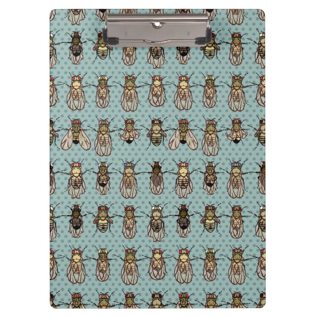 Drosophila Fruit Fly Genetics - mutants Clipboard (Front)