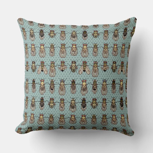 Drosophila Fruit Fly Genetics - mutants Cushion (Front)