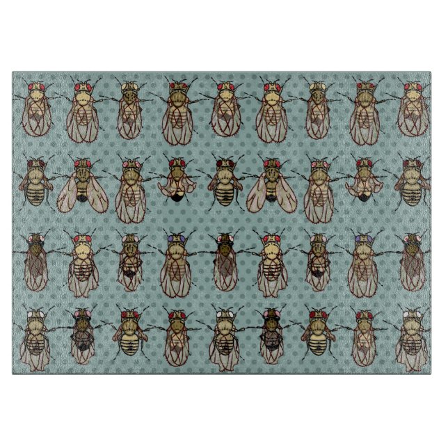 Drosophila Fruit Fly Genetics - mutants Cutting Board (Front)