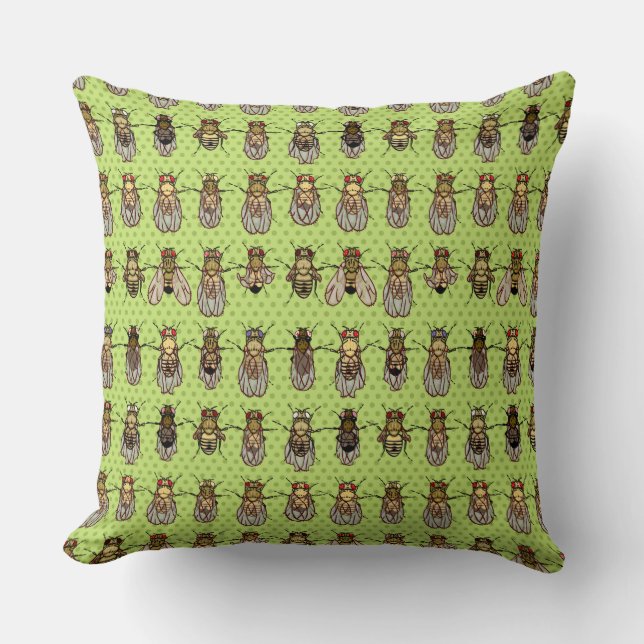 Drosophila Fruit Fly Genetics - mutants - Lime Cushion (Front)