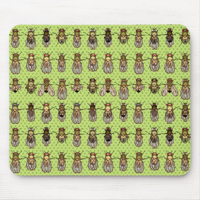 Drosophila Fruit Fly Genetics - mutants - Lime Mouse Mat (Front)