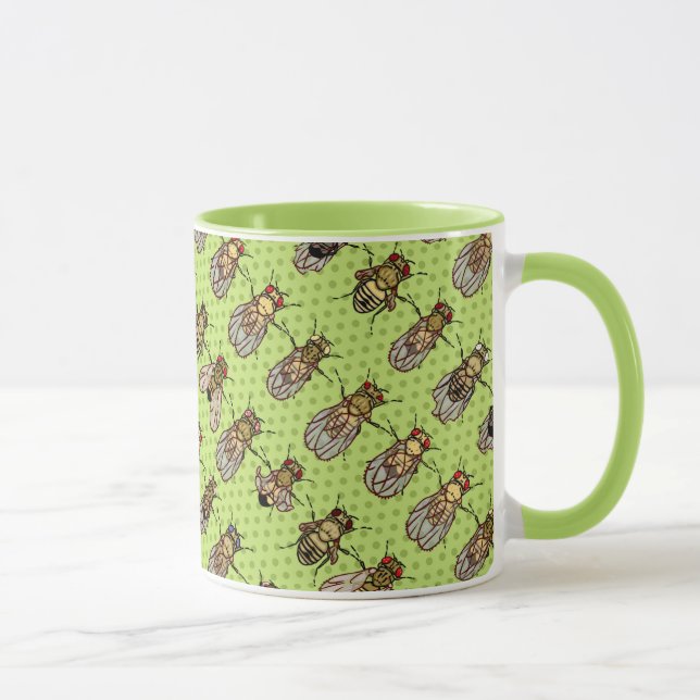 Drosophila Fruit Fly Genetics - mutants - Lime Mug (Right)
