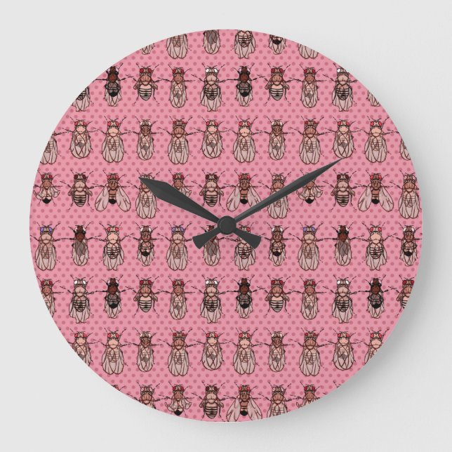 Drosophila Fruit Fly Genetics - mutants - Pink Large Clock (Front)