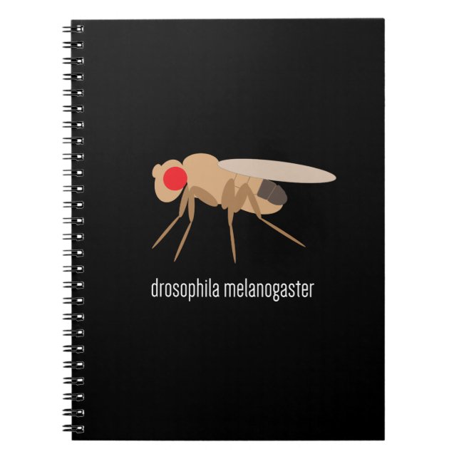 Drosophila Lab Notebook (Front)