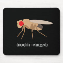 Drosophila Mousepad