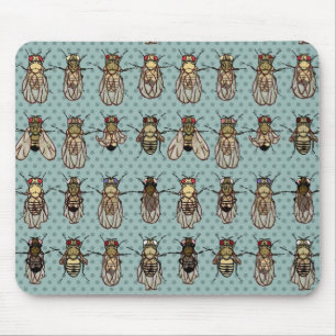 Drosophila mutants mouse mat