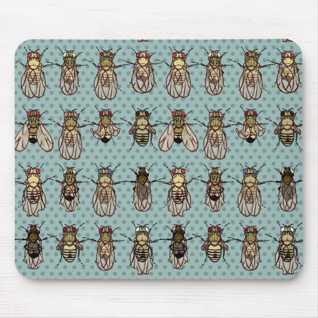 Drosophila mutants mouse mat (Front)