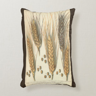 Drought Resistant Wheat Plant, Vintage Agriculture Decorative Cushion