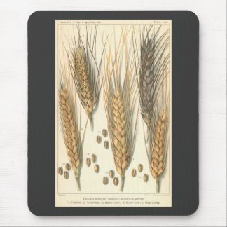 Drought Resistant Wheat Plant, Vintage Agriculture Mouse Mat