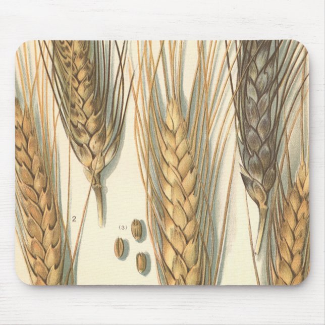 Drought Resistant Wheat Plant, Vintage Agriculture Mouse Mat (Front)