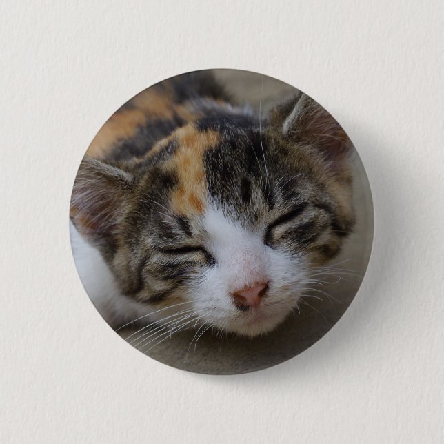 Drowsing Calico Kitten 6 Cm Round Badge (Front)