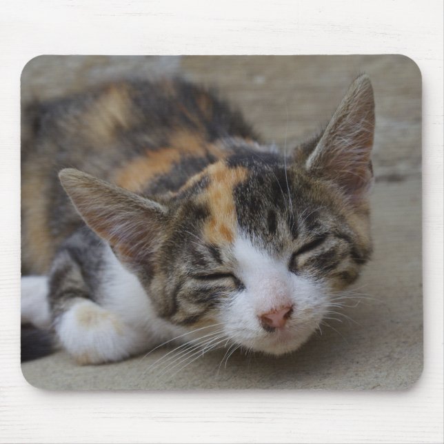 Drowsing Calico Kitten Mouse Mat (Front)