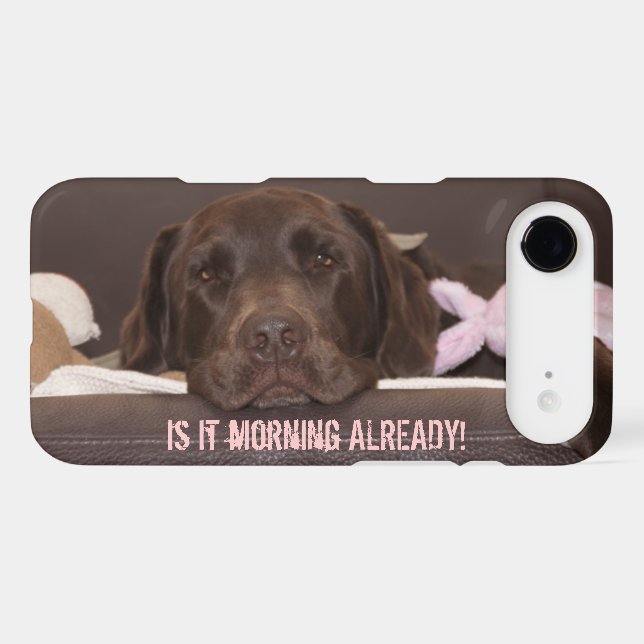 Drowsy Chocolate Lab Photo Close Up (Back (Horizontal))