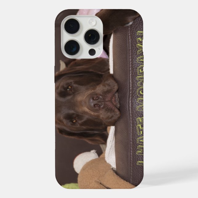 Drowsy Chocolate Lab With Toys iPhone Case (Back)