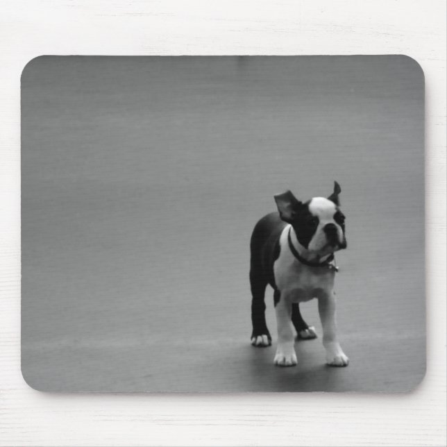 DRU puppy boston terrier Mouse Mat (Front)