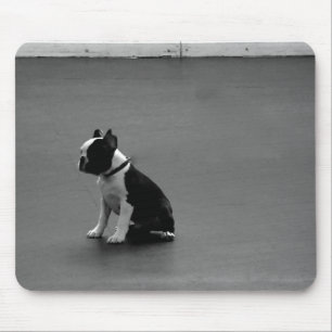 DRU puppy boston terrier Mouse Mat