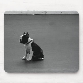 DRU puppy boston terrier Mouse Mat