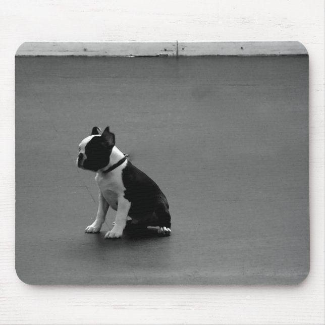 DRU puppy boston terrier Mouse Mat (Front)