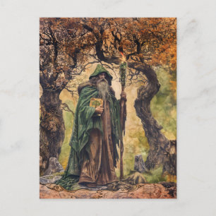 Druid Celtic Wise Priest of Nature Postcard