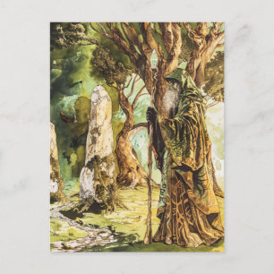 Druid Celtic Wise Priest of Nature Postcard