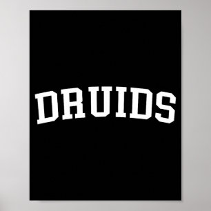 Druids  poster