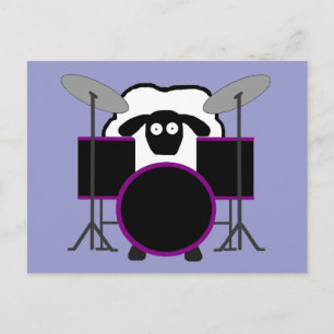 Drummer Sheep Postcard