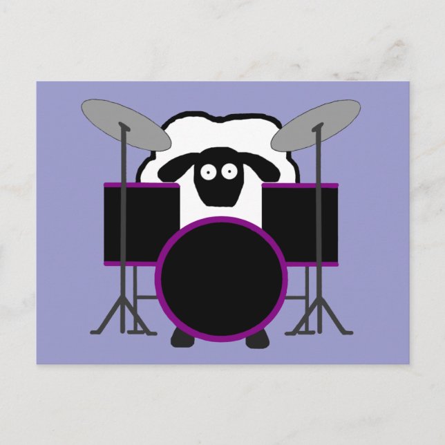 Drummer Sheep Postcard (Front)