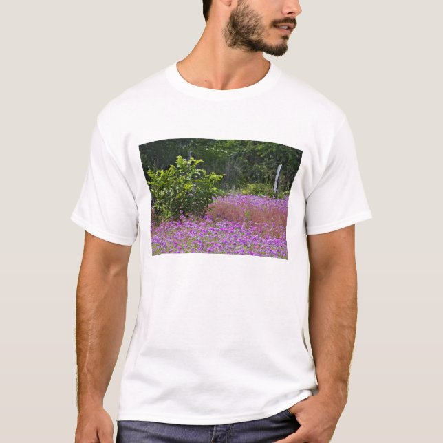Drummond Phlox, Phlox drummondi, Hilton Head T-Shirt (Front)