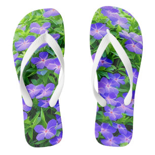 Drummond's clematis - a cute little blue flower flip flops