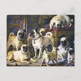 Drumpellier Pugs Postcard