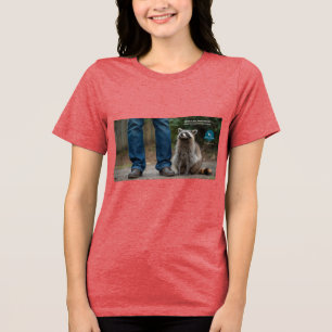 Drunk Raccoon Tri-Blend Shirt