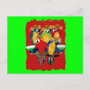 Drunkin Parrots Postcard