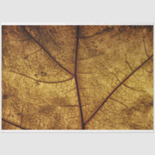 Dry Autumn Leaf Background Decoupage Tissue Paper