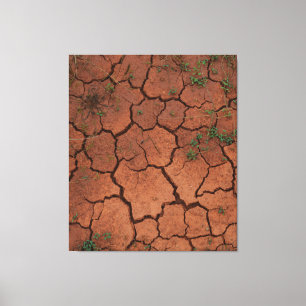 dry, cracked ground canvas print