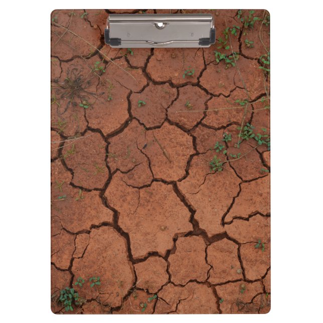 dry, cracked ground clipboard (Front)