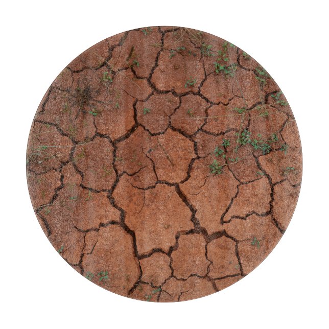 dry, cracked ground cutting board (Front)