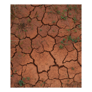 dry, cracked ground photo print