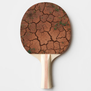 dry, cracked ground ping pong paddle