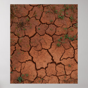 dry, cracked ground poster