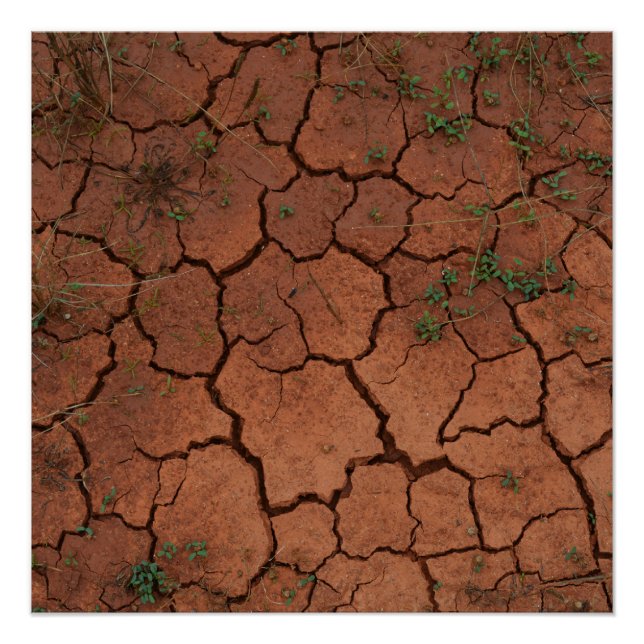 dry, cracked ground poster (Front)