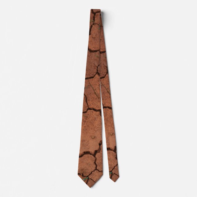 dry, cracked ground tie (Front)
