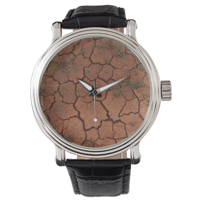 dry, cracked ground watch (Front)