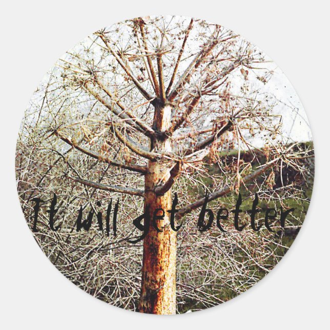 Dry Ferula Plant Classic Round Sticker (Front)