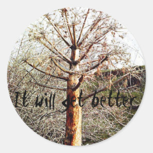 Dry Ferula Plant Classic Round Sticker