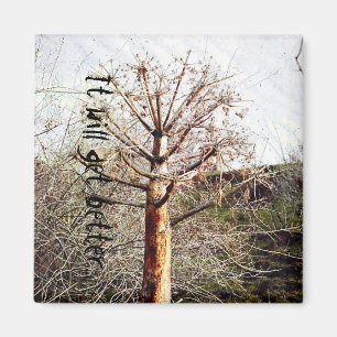 Dry Ferula Plant Magnet