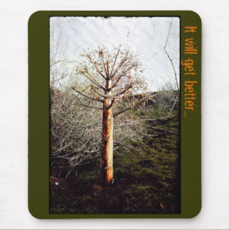 Dry Ferula Plant Mouse Mat